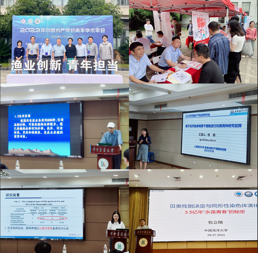 1696744095195087210.png 截图_选择区域_20231008142204.png