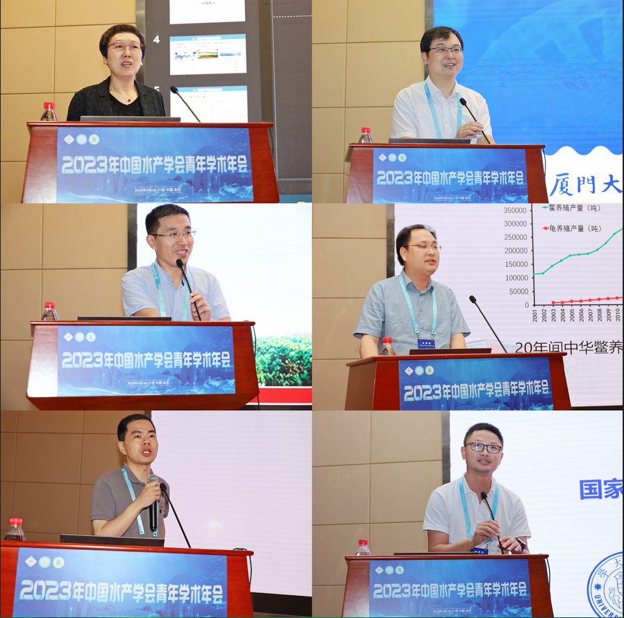 1696743892907049096.png 截图_选择区域_20231008141855.png